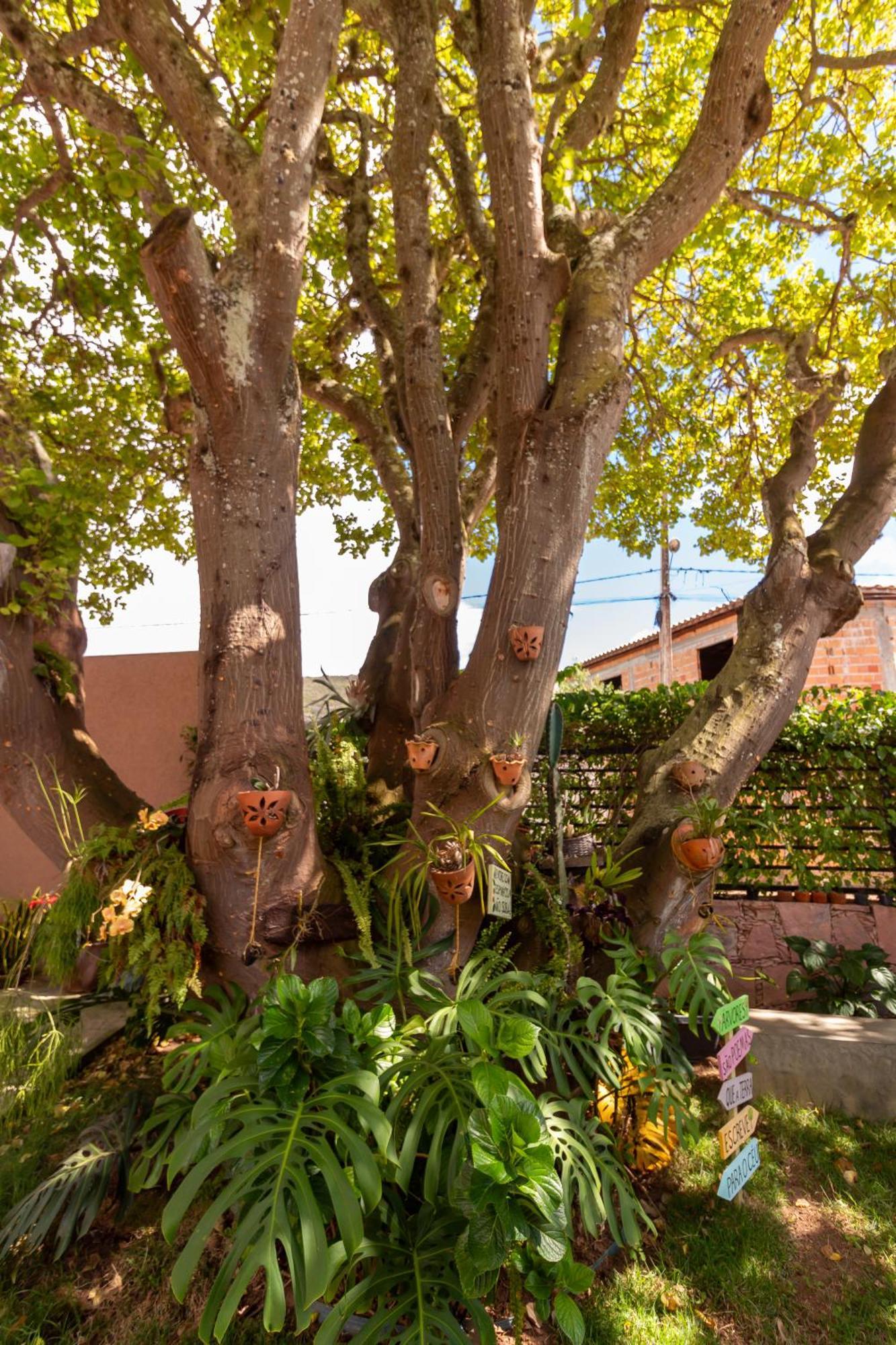 Villa Matilde Mucugê 外观 照片